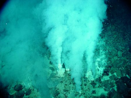 Some scientists now suggest that life began in an undersea thermal vent